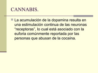 CANNABIS.
 La acumulación de la dopamina resulta en
una estimulación continua de las neuronas
“receptoras”, lo cual está asociado con la
euforia comúnmente reportada por las
personas que abusan de la cocaína.
 
