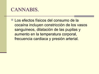 CANNABIS.
 Los efectos físicos del consumo de la
cocaína incluyen constricción de los vasos
sanguíneos, dilatación de las pupilas y
aumento en la temperatura corporal,
frecuencia cardiaca y presión arterial.
 