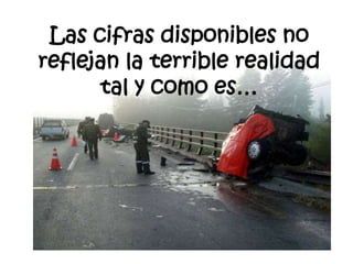 Las cifras disponibles no reflejan la terrible realidad tal y como es…