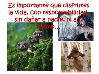 Es importante que disfrutes la vida, con responsabilidad, sin dañar a nadie, ni a ti mismo…