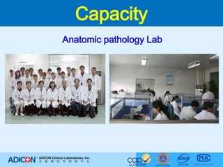 CapacityAnatomic pathology Lab