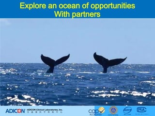 Explore an ocean of opportunitiesWith partners