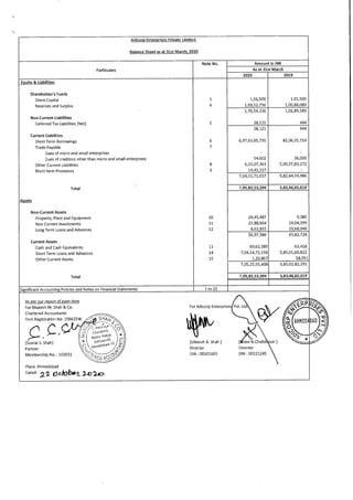 Adicorp Enterprises 2020 Annual Report.pdf