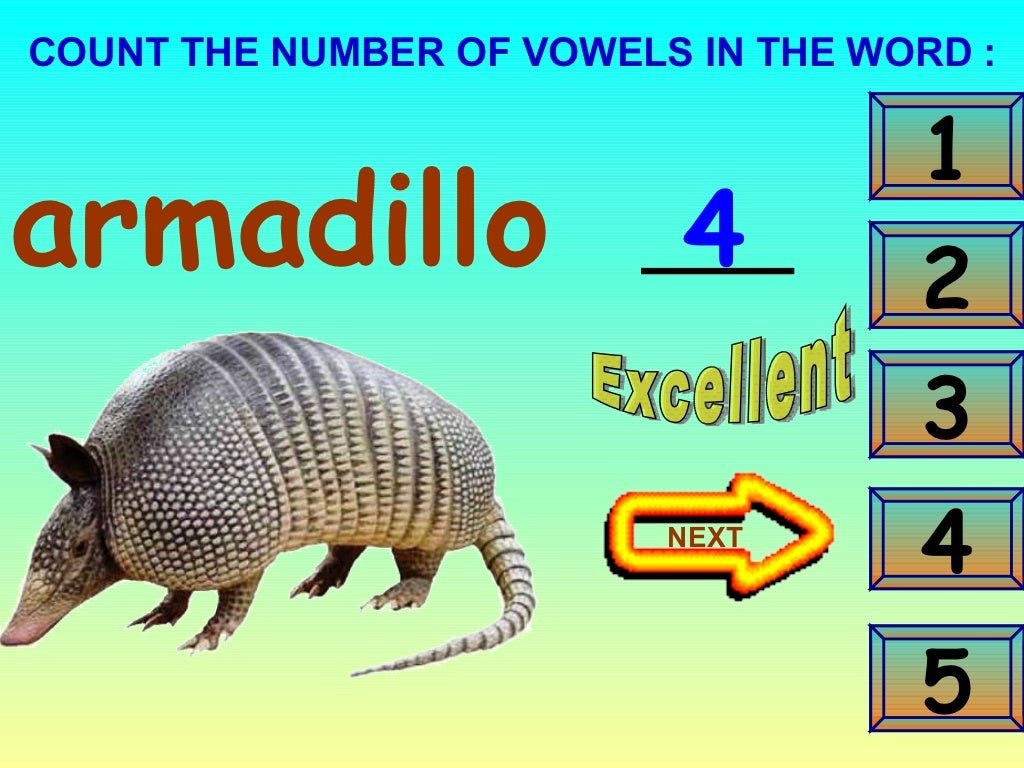 A dictionary of animals