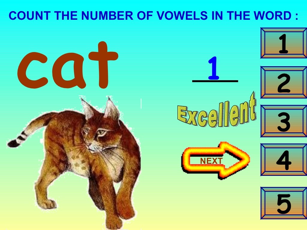 A dictionary of animals