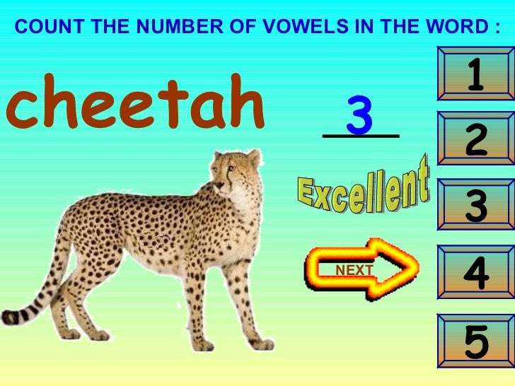 A dictionary of animals