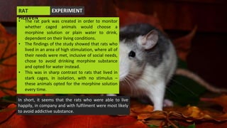 Rat Inclusion addictions therapy | PPTX