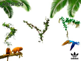 PDV - ADIDAS