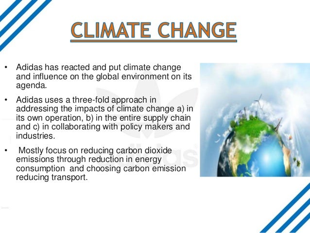 Environmental Impact Of Adidas