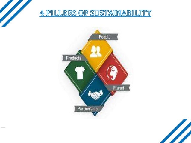 Environmental Impact Of Adidas