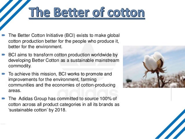 Environmental Impact Of Adidas