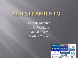 Griselle Mendez Iris R. Rodríguez Anibal Rivera Yaritza Colon  