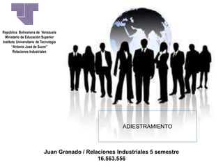 Juan Granado / Relaciones Industriales 5 semestre
16.563.556
ADIESTRAMIENTO
 