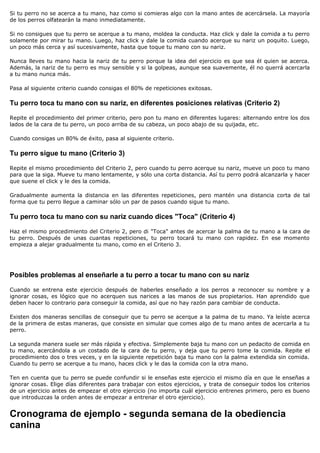 Si tu perro no se acerca a tu mano, haz como si comieras algo con la mano antes de acercársela. La mayoría
de los perros olfatearán la mano inmediatamente.

Si no consigues que tu perro se acerque a tu mano, moldea la conducta. Haz click y dale la comida a tu perro
solamente por mirar tu mano. Luego, haz click y dale la comida cuando acerque su nariz un poquito. Luego,
un poco más cerca y así sucesivamente, hasta que toque tu mano con su nariz.

Nunca lleves tu mano hacia la nariz de tu perro porque la idea del ejercicio es que sea él quien se acerca.
Además, la nariz de tu perro es muy sensible y si la golpeas, aunque sea suavemente, él no querrá acercarla
a tu mano nunca más.

Pasa al siguiente criterio cuando consigas el 80% de repeticiones exitosas.

Tu perro toca tu mano con su nariz, en diferentes posiciones relativas (Criterio 2)

Repite el procedimiento del primer criterio, pero pon tu mano en diferentes lugares: alternando entre los dos
lados de la cara de tu perro, un poco arriba de su cabeza, un poco abajo de su quijada, etc.

Cuando consigas un 80% de éxito, pasa al siguiente criterio.

Tu perro sigue tu mano (Criterio 3)

Repite el mismo procedimiento del Criterio 2, pero cuando tu perro acerque su nariz, mueve un poco tu mano
para que la siga. Mueve tu mano lentamente, y sólo una corta distancia. Así tu perro podrá alcanzarla y hacer
que suene el click y le des la comida.

Gradualmente aumenta la distancia en las diferentes repeticiones, pero mantén una distancia corta de tal
forma que tu perro llegue a caminar sólo un par de pasos cuando sigue tu mano.

Tu perro toca tu mano con su nariz cuando dices "Toca" (Criterio 4)

Haz el mismo procedimiento del Criterio 2, pero di "Toca" antes de acercar la palma de tu mano a la cara de
tu perro. Después de unas cuantas repeticiones, tu perro tocará tu mano con rapidez. En ese momento
empieza a alejar gradualmente tu mano, como en el Criterio 3.




Posibles problemas al enseñarle a tu perro a tocar tu mano con su nariz

Cuando se entrena este ejercicio después de haberles enseñado a los perros a reconocer su nombre y a
ignorar cosas, es lógico que no acerquen sus narices a las manos de sus propietarios. Han aprendido que
deben hacer lo contrario para conseguir la comida, así que no hay razón para cambiar de conducta.

Existen dos maneras sencillas de conseguir que tu perro se acerque a la palma de tu mano. Ya leíste acerca
de la primera de estas maneras, que consiste en simular que comes algo de tu mano antes de acercarla a tu
perro.

La segunda manera suele ser más rápida y efectiva. Simplemente baja tu mano con un pedacito de comida en
tu mano, acercándola a un costado de la cara de tu perro, y deja que tu perro tome la comida. Repite el
procedimiento dos o tres veces, y en la siguiente repetición baja tu mano con la palma extendida sin comida.
Cuando tu perro se acerque a tu mano, haces click y le das la comida con la otra mano.

Ten en cuenta que tu perro se puede confundir si le enseñas este ejercicio el mismo día en que le enseñas a
ignorar cosas. Elige días diferentes para trabajar con estos ejercicios, y trata de conseguir todos los criterios
de un ejercicio antes de empezar el otro ejercicio (no importa cuál ejercicio entrenes primero, pero es bueno
que introduzcas la orden antes de empezar a entrenar el otro ejercicio).


Cronograma de ejemplo - segunda semana de la obediencia
canina
 