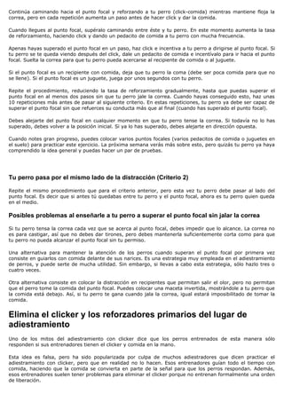 Continúa caminando hacia el punto focal y reforzando a tu perro (click-comida) mientras mantiene floja la
correa, pero en cada repetición aumenta un paso antes de hacer click y dar la comida.

Cuando llegues al punto focal, supéralo caminando entre éste y tu perro. En este momento aumenta la tasa
de reforzamiento, haciendo click y dando un pedacito de comida a tu perro con mucha frecuencia.

Apenas hayas superado el punto focal en un paso, haz click e incentiva a tu perro a dirigirse al punto focal. Si
tu perro se te queda viendo después del click, dale un pedacito de comida e incentívalo para ir hacia el punto
focal. Suelta la correa para que tu perro pueda acercarse al recipiente de comida o al juguete.

Si el punto focal es un recipiente con comida, deja que tu perro la coma (debe ser poca comida para que no
se llene). Si el punto focal es un juguete, juega por unos segundos con tu perro.

Repite el procedimiento, reduciendo la tasa de reforzamiento gradualmente, hasta que puedas superar el
punto focal en al menos dos pasos sin que tu perro jale la correa. Cuando hayas conseguido esto, haz unas
10 repeticiones más antes de pasar al siguiente criterio. En estas repeticiones, tu perro ya debe ser capaz de
superar el punto focal sin que refuerces su conducta más que al final (cuando has superado el punto focal).

Debes alejarte del punto focal en cualquier momento en que tu perro tense la correa. Si todavía no lo has
superado, debes volver a la posición inicial. Si ya lo has superado, debes alejarte en dirección opuesta.

Cuando notes gran progreso, puedes colocar varios puntos focales (varios pedacitos de comida o juguetes en
el suelo) para practicar este ejercicio. La próxima semana verás más sobre esto, pero quizás tu perro ya haya
comprendido la idea general y puedas hacer un par de pruebas.




Tu perro pasa por el mismo lado de la distracción (Criterio 2)

Repite el mismo procedimiento que para el criterio anterior, pero esta vez tu perro debe pasar al lado del
punto focal. Es decir que si antes tú quedabas entre tu perro y el punto focal, ahora es tu perro quien queda
en el medio.

Posibles problemas al enseñarle a tu perro a superar el punto focal sin jalar la correa

Si tu perro tensa la correa cada vez que se acerca al punto focal, debes impedir que lo alcance. La correa no
es para castigar, así que no debes dar tirones, pero debes mantenerla suficientemente corta como para que
tu perro no pueda alcanzar el punto focal sin tu permiso.

Una alternativa para mantener la atención de los perros cuando superan el punto focal por primera vez
consiste en guiarlos con comida delante de sus narices. Es una estrategia muy empleada en el adiestramiento
de perros, y puede serte de mucha utilidad. Sin embargo, si llevas a cabo esta estrategia, sólo hazlo tres o
cuatro veces.

Otra alternativa consiste en colocar la distracción en recipientes que permitan salir el olor, pero no permitan
que el perro tome la comida del punto focal. Puedes colocar una maceta invertida, mostrándole a tu perro que
la comida está debajo. Así, si tu perro te gana cuando jala la correa, igual estará imposibilitado de tomar la
comida.


Elimina el clicker y los reforzadores primarios del lugar de
adiestramiento
Uno de los mitos del adiestramiento con clicker dice que los perros entrenados de esta manera sólo
responden si sus entrenadores tienen el clicker y comida en la mano.

Esta idea es falsa, pero ha sido popularizada por culpa de muchos adiestradores que dicen practicar el
adiestramiento con clicker, pero que en realidad no lo hacen. Esos entrenadores guían todo el tiempo con
comida, haciendo que la comida se convierta en parte de la señal para que los perros respondan. Además,
esos entrenadores suelen tener problemas para eliminar el clicker porque no entrenan formalmente una orden
de liberación.
 