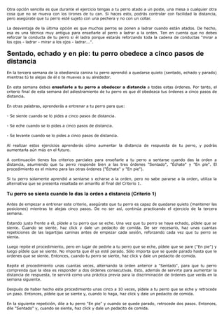 Otra opción sencilla es que durante el ejercicio tengas a tu perro atado a un poste, una mesa o cualquier otra
cosa que no se mueva con los tirones de tu can. Si haces esto, podrás controlar con facilidad la distancia,
pero asegúrate que tu perro esté sujeto con una pechera y no con un collar.

La desventaja de la última opción es que muchos perros se ponen a ladrar cuando están atados. De hecho,
esa es una técnica muy antigua para enseñarle al perro a ladrar a la orden. Ten en cuenta que no debes
reforzar la conducta de tu perro si él ladra porque estarás reforzando toda la cadena de conductas "mirar a
los ojos - ladrar - mirar a los ojos - ladrar...".


Sentado, echado y en pie: tu perro obedece a cinco pasos de
distancia
En la tercera semana de la obediencia canina tu perro aprendió a quedarse quieto (sentado, echado y parado)
mientras tú te alejas de él o te mueves a su alrededor.

En esta semana debes enseñarle a tu perro a obedecer a distancia a todas estas órdenes. Por tanto, el
criterio final de esta semana del adiestramiento de tu perro es que él obedezca tus órdenes a cinco pasos de
distancia.

En otras palabras, aprenderás a entrenar a tu perro para que:

- Se siente cuando se lo pides a cinco pasos de distancia.

- Se eche cuando se lo pides a cinco pasos de distancia.

- Se levante cuando se lo pides a cinco pasos de distancia.

Al realizar estos ejercicios aprenderás cómo aumentar la distancia de respuesta de tu perro, y podrás
aumentarla aún más en el futuro.

A continuación tienes los criterios parciales para enseñarle a tu perro a sentarse cuando das la orden a
distancia, asumiendo que tu perro responde bien a las tres órdenes "Sentado", "Échate" y "En pie". El
procedimiento es el mismo para las otras órdenes ("Échate" y "En pie").

Si tu perro solamente aprendió a sentarse y echarse a la orden, pero no sabe pararse a la orden, utiliza la
alternativa que se presenta resaltada en amarillo al final del Criterio 1.

Tu perro se sienta cuando le das la orden a distancia (Criterio 1)

Antes de empezar a entrenar este criterio, asegúrate que tu perro es capaz de quedarse quieto (mantener las
posiciones) mientras te alejas cinco pasos. De no ser así, continúa practicando el ejercicio de la tercera
semana.

Estando justo frente a él, pídele a tu perro que se eche. Una vez que tu perro se haya echado, pídele que se
siente. Cuando se siente, haz click y dale un pedacito de comida. De ser necesario, haz unas cuantas
repeticiones de las lagartijas caninas antes de empezar cada sesión, reforzando cada vez que tu perro se
sienta.

Luego repite el procedimiento, pero en lugar de pedirle a tu perro que se eche, pídele que se pare ("En pie") y
luego pídele que se siente. No importa que él ya esté parado. Sólo importa que se quede parado hasta que le
ordenes que se siente. Entonces, cuando tu perro se siente, haz click y dale un pedacito de comida.

Repite el procedimiento unas cuantas veces, alternando la orden anterior a "Sentado", para que tu perro
comprenda que la idea es responder a dos órdenes consecutivas. Esto, además de servirte para aumentar la
distancia de respuesta, te servirá como una práctica previa para la discriminación de órdenes que verás en la
semana siguiente.

Después de haber hecho este procedimiento unas cinco a 10 veces, pídele a tu perro que se eche y retrocede
un paso. Entonces, pídele que se siente y, cuando lo haga, haz click y dale un pedacito de comida.

En la siguiente repetición, dile a tu perro "En pie" y cuando se quede parado, retrocede dos pasos. Entonces,
dile "Sentado" y, cuando se siente, haz click y dale un pedacito de comida.
 