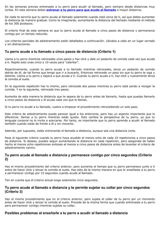 En las semanas previas entrenaste a tu perro para acudir al llamado, pero siempre desde distancias muy
cortas. En esta semana debes entrenar a tu perro para que acuda al llamado a mayor distancia.

De nada te serviría que tu perro acuda al llamado solamente cuando está cerca de ti, así que debes aumentar
la distancia de manera gradual. Como te imaginarás, aumentarás la distancia del llamado mediante el método
de los 300 picotazos.

El criterio final de esta semana es que tu perro acuda al llamado a cinco pasos de distancia y permanezca
contigo por un tiempo reducido.

Los criterios parciales de adiestramiento están detallados a continuación. Llévalos a cabo en un lugar cerrado
y sin distracciones.

Tu perro acude a tu llamado a cinco pasos de distancia (Criterio 1)

Llama a tu perro mientras retrocedes unos pasos y haz click y dale un pedacito de comida cada vez que acuda
a ti. Repite esto unas cinco a 10 veces para "calentar".

Repentinamente, cuando tu perro acuda a tu llamado mientras retrocedes, lanza un pedacito de comida
detrás de él, de tal forma que tenga que ir a buscarlo. Entonces retrocede un paso sin que tu perro te siga y
detente. Llama a tu perro y espera a que acuda a ti. Cuando tu perro acuda a ti, haz click y nuevamente lanza
la comida al suelo.

En la siguiente repetición haz lo mismo, pero retrocede dos pasos mientras tu perro está yendo a recoger la
comida. Y en la siguiente, retrocede tres pasos.

Aumenta de esta manera la distancia que te separa de tu perro antes de llamarlo, hasta que puedas llamarlo
a cinco pasos de distancia y él acuda cada vez que lo llamas.

Si tu perro no acude a tu llamado, vuelve a empezar el procedimiento retrocediendo un solo paso.

Este criterio de adiestramiento puede parecer igual a los anteriores, pero hay un aspecto importante que lo
diferencia: llamas a tu perro mientras estás quieto. Esto cambia la perspectiva de tu perro, ya que tu
lenguaje corporal no lo invita a acercarse. Por tanto, es importante que tu perro aprenda a acudir al llamado
también cuando estás de frente a él y sin moverte.

Además, por supuesto, estás entrenando el llamado a distancia, aunque sea una distancia corta.

Pasa al siguiente criterio cuando tu perro haya acudido al menos ocho de cada 10 repeticiones a cinco pasos
de distancia. Si deseas, puedes seguir aumentando la distancia en cada repetición, pero asegúrate de haber
hecho al menos ocho repeticiones exitosas al menos a cinco pasos de distancia antes de levantar el criterio de
adiestramiento canino.

Tu perro acude al llamado a distancia y permanece contigo por cinco segundos (Criterio
2)

Haz el mismo procedimiento del criterio anterior, pero aumenta el tiempo que tu perro permanece junto a ti
antes de hacer click y lanzar la comida al suelo. Haz esto de la misma manera en que le enseñaste a tu perro
a permanecer contigo por 15 segundos cuando acude al llamado.

Ten en cuenta que el criterio actual exige solamente cinco segundos.

Tu perro acude al llamado a distancia y te permite sujetar su collar por cinco segundos
(Criterio 3)

Haz el mismo procedimiento que en el criterio anterior, pero sujeta el collar de tu perro por un momento
antes de hacer click y lanzar la comida al suelo. Procede de la misma forma que cuando entrenaste a tu perro
para permanecer contigo mientras sujetas su collar.

Posibles problemas al enseñarle a tu perro a acudir al llamado a distancia
 