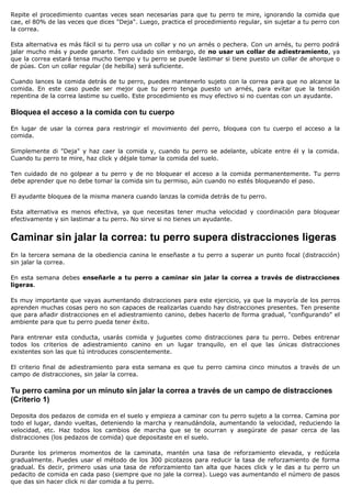 Repite el procedimiento cuantas veces sean necesarias para que tu perro te mire, ignorando la comida que
cae, el 80% de las veces que dices "Deja". Luego, practica el procedimiento regular, sin sujetar a tu perro con
la correa.

Esta alternativa es más fácil si tu perro usa un collar y no un arnés o pechera. Con un arnés, tu perro podrá
jalar mucho más y puede ganarte. Ten cuidado sin embargo, de no usar un collar de adiestramiento, ya
que la correa estará tensa mucho tiempo y tu perro se puede lastimar si tiene puesto un collar de ahorque o
de púas. Con un collar regular (de hebilla) será suficiente.

Cuando lances la comida detrás de tu perro, puedes mantenerlo sujeto con la correa para que no alcance la
comida. En este caso puede ser mejor que tu perro tenga puesto un arnés, para evitar que la tensión
repentina de la correa lastime su cuello. Este procedimiento es muy efectivo si no cuentas con un ayudante.

Bloquea el acceso a la comida con tu cuerpo

En lugar de usar la correa para restringir el movimiento del perro, bloquea con tu cuerpo el acceso a la
comida.

Simplemente di "Deja" y haz caer la comida y, cuando tu perro se adelante, ubícate entre él y la comida.
Cuando tu perro te mire, haz click y déjale tomar la comida del suelo.

Ten cuidado de no golpear a tu perro y de no bloquear el acceso a la comida permanentemente. Tu perro
debe aprender que no debe tomar la comida sin tu permiso, aún cuando no estés bloqueando el paso.

El ayudante bloquea de la misma manera cuando lanzas la comida detrás de tu perro.

Esta alternativa es menos efectiva, ya que necesitas tener mucha velocidad y coordinación para bloquear
efectivamente y sin lastimar a tu perro. No sirve si no tienes un ayudante.


Caminar sin jalar la correa: tu perro supera distracciones ligeras
En la tercera semana de la obediencia canina le enseñaste a tu perro a superar un punto focal (distracción)
sin jalar la correa.

En esta semana debes enseñarle a tu perro a caminar sin jalar la correa a través de distracciones
ligeras.

Es muy importante que vayas aumentando distracciones para este ejercicio, ya que la mayoría de los perros
aprenden muchas cosas pero no son capaces de realizarlas cuando hay distracciones presentes. Ten presente
que para añadir distracciones en el adiestramiento canino, debes hacerlo de forma gradual, "configurando" el
ambiente para que tu perro pueda tener éxito.

Para entrenar esta conducta, usarás comida y juguetes como distracciones para tu perro. Debes entrenar
todos los criterios de adiestramiento canino en un lugar tranquilo, en el que las únicas distracciones
existentes son las que tú introduces conscientemente.

El criterio final de adiestramiento para esta semana es que tu perro camina cinco minutos a través de un
campo de distracciones, sin jalar la correa.

Tu perro camina por un minuto sin jalar la correa a través de un campo de distracciones
(Criterio 1)

Deposita dos pedazos de comida en el suelo y empieza a caminar con tu perro sujeto a la correa. Camina por
todo el lugar, dando vueltas, deteniendo la marcha y reanudándola, aumentando la velocidad, reduciendo la
velocidad, etc. Haz todos los cambios de marcha que se te ocurran y asegúrate de pasar cerca de las
distracciones (los pedazos de comida) que depositaste en el suelo.

Durante los primeros momentos de la caminata, mantén una tasa de reforzamiento elevada, y redúcela
gradualmente. Puedes usar el método de los 300 picotazos para reducir la tasa de reforzamiento de forma
gradual. Es decir, primero usas una tasa de reforzamiento tan alta que haces click y le das a tu perro un
pedacito de comida en cada paso (siempre que no jale la correa). Luego vas aumentando el número de pasos
que das sin hacer click ni dar comida a tu perro.
 