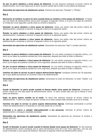 En pie: tu perro obedece a cinco pasos de distancia. En dos sesiones consigues el primer criterio de
adiestramiento, con lo que logras que tu perro se pare cuando das la orden a cinco pasos de distancia.

Generaliza los ejercicios de obediencia canina. Practicas los ejercicios "Sentado" y "Échate".

Día 2

Reconocer el nombre: tu perro te mira cuando dices su nombre a cinco pasos de distancia. Te basta
con una sesión de adiestramiento canino para conseguir el segundo criterio, y tu perro es capaz de mantener
la mirada por cinco segundos cuando dices su nombre a distancia.

Sentado: tu perro obedece a cinco pasos de distancia. Haces una sesión más del primer criterio de
adiestramiento y empiezas a entrenar el segundo criterio en la siguiente sesión.

Échate: tu perro obedece a cinco pasos de distancia. Haces una sesión más del primer criterio de
adiestramiento y empiezas a entrenar el segundo criterio en la siguiente sesión.

En pie: tu perro obedece a cinco pasos de distancia. Haces una sesión más del primer criterio de
adiestramiento y empiezas a entrenar el segundo criterio en la siguiente sesión.

Generaliza los ejercicios de obediencia canina. Generalizas los ejercicios "Aquí" y prestar atención.

Día 3

Sentado: tu perro obedece a cinco pasos de distancia. En una sesión consigues el segundo criterio, y tu
perro ya es capaz de quedarse sentado por cinco segundos, después que diste la orden a distancia.

Échate: tu perro obedece a cinco pasos de distancia. En una sesión consigues el segundo criterio, y tu
perro ya es capaz de quedarse echado por cinco segundos, después que diste la orden a distancia.

En pie: tu perro obedece a cinco pasos de distancia. En una sesión consigues el segundo criterio, y tu
perro ya es capaz de quedarse parado por cinco segundos, después que diste la orden a distancia.

Caminar sin jalar la correa: tu perro supera distracciones ligeras. Consigues caminar por 30 segundos,
por lo que debes permanecer en el primer criterio de adiestramiento.

Generaliza los ejercicios de obediencia canina. Generalizas la orden de liberación, la orden "Suelta" y la
orden "Aquí".

Día 4

Acudir al llamado: tu perro acude cuando lo llamas desde cinco pasos de distancia. Consigues el
primer criterio en una sola sesión de adiestramiento canino. Tu perro acude cada vez que lo llamas a cinco
pasos de distancia.

Deja: tu perro ignora comida en el suelo. Te toma tres sesiones alcanzar el primer criterio de
adiestramiento. Tu perro es capaz de ignorar comida en el suelo cuando estás sentado cerca de la comida.

Caminar sin jalar la correa: tu perro supera distracciones ligeras. Continúas entrenando el primer
criterio de adiestramiento y lo alcanzas en una sola sesión de un minuto.

Enséñale a tu perro a saludar adecuadamente a las personas. Entrenas el primer criterio de
adiestramiento y consigues resultados parciales.

Generaliza los ejercicios de obediencia canina. Generalizas los ejercicios de reconocer el nombre y
prestar atención.

Día 5

Acudir al llamado: tu perro acude cuando lo llamas desde cinco pasos de distancia. En dos sesiones
de adiestramiento canino consigues que tu perro permanezca cerca de ti por cinco segundos, una vez que
acude al llamado a cinco pasos de distancia. Alcanzas el segundo criterio de adiestramiento canino.
 