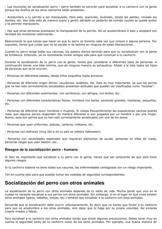 - Las reuniones de socialización perro - perro también te servirán para socializar a tu cachorro con la gente
porque los dueños de los otros cachorros están presentes.

- Acostumbra a tu perrito a ser manipulado. Para esto, acarícialo, levántalo, tócale las patitas, revísale los
dientes, etc. Haz todo esto de manera suave y gentil, dándole un pedacito de comida cuando se queda quieto
y te permite manipularlo.

- Haz que otras personas practiquen la manipulación de tu perrito. Así se acostumbrará a esto y aceptará con
facilidad las revisiones veterinarias.

Básicamente lo que tienes que hacer es que tu perro se divierta cada vez que conoce a alguna persona. Por
supuesto, tienes que cuidar que no se asuste ni se lastime en ninguna de estas interacciones.

Cuando tu perro tenga todas sus vacunas, los paseos diarios servirán para que su socialización con la gente
se fortalezca. Entonces, ya no necesitarás invitar amigos sólo para que conozcan a tu cachorro.

Durante la socialización de tu perro con la gente, tienes que considerar a diferentes tipos de personas. A
continuación tienes una lista mínima, que de ninguna manera es exhaustiva. Añade a la lista todos los tipos
de personas que se te ocurran.

- Personas de diferentes edades, desde niños pequeños hasta ancianos.

- Personas de diferente origen étnico: caucásicos, asiáticos, etc. Esto es muy importante, ya que los perros
que no han sido correctamente socializados presentan actitudes que pueden ser clasificadas como "racistas".

- Personas con diferentes vestimentas: con sombreros, con abrigos, con lentes, etc.

- Personas con diferentes características físicas: hombres con barba, personas grandes, medianas, pequeñas,
etc.

- Personas de diferente sexo: hombres y mujeres. Si visitas frecuentemente las exposiciones caninas podrás
notar que algunos perros responden de manera diferente si son juzgados por un hombre o por una mujer.
Bueno, esos son perros que no han sido correctamente socializados con uno de los sexos.

- Personas que usen uniformes: policías, carteros, militares, etc.

- Personas con disfraces (muy útil si en tu país se celebra Halloween).

- Personas con necesidades especiales que requieran elementos de ayuda: personas en sillas de rueda,
personas ciegas que usen bastón, etc.

Riesgos de la socialización perro - humano

Si bien es importante que socialices a tu perro con la gente, tienes que ser consciente de que esto tiene
algunos riesgos.

Si tu cachorro todavía no tiene todas sus vacunas, las enfermedades contagiosas son un riesgo importante.

Ten en cuenta esto para que puedas tomar las medidas de seguridad correspondientes.


Socialización del perro con otros animales
La socialización de tu perro con otros animales depende de tu estilo de vida. Mucha gente que vive en la
ciudad no necesita socializar a sus perros con otros animales. Sin embargo, si en el lugar en que vives existen
otros animales (gatos, caballos, ovejas, etc.) tendrás que socializar a tu cachorro con esos animales.

Recuerda que la socialización debe ocurrir voluntariamente. Es decir que no tienes que forzar a tu cachorro
para que se acostumbre a los otros animales, sino dejar que lo haga por su propia voluntad. Así evitarás
crearle miedos y fobias.

Para socializar a tu cachorro con otros animales tienes que tomar algunas precauciones. Debes tener muy en
cuenta la seguridad tanto de tu cachorro como de los otros animales. Por ejemplo, una buena manera de
 