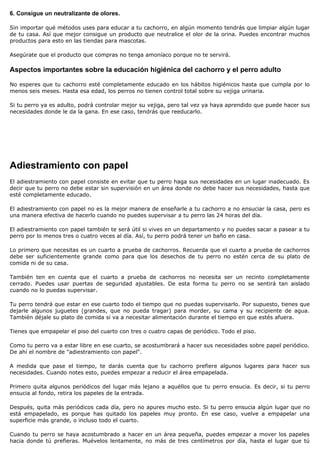 6. Consigue un neutralizante de olores.

Sin importar qué métodos uses para educar a tu cachorro, en algún momento tendrás que limpiar algún lugar
de tu casa. Así que mejor consigue un producto que neutralice el olor de la orina. Puedes encontrar muchos
productos para esto en las tiendas para mascotas.

Asegúrate que el producto que compras no tenga amoníaco porque no te servirá.

Aspectos importantes sobre la educación higiénica del cachorro y el perro adulto

No esperes que tu cachorro esté completamente educado en los hábitos higiénicos hasta que cumpla por lo
menos seis meses. Hasta esa edad, los perros no tienen control total sobre su vejiga urinaria.

Si tu perro ya es adulto, podrá controlar mejor su vejiga, pero tal vez ya haya aprendido que puede hacer sus
necesidades donde le da la gana. En ese caso, tendrás que reeducarlo.




Adiestramiento con papel
El adiestramiento con papel consiste en evitar que tu perro haga sus necesidades en un lugar inadecuado. Es
decir que tu perro no debe estar sin supervisión en un área donde no debe hacer sus necesidades, hasta que
esté completamente educado.

El adiestramiento con papel no es la mejor manera de enseñarle a tu cachorro a no ensuciar la casa, pero es
una manera efectiva de hacerlo cuando no puedes supervisar a tu perro las 24 horas del día.

El adiestramiento con papel también te será útil si vives en un departamento y no puedes sacar a pasear a tu
perro por lo menos tres o cuatro veces al día. Así, tu perro podrá tener un baño en casa.

Lo primero que necesitas es un cuarto a prueba de cachorros. Recuerda que el cuarto a prueba de cachorros
debe ser suficientemente grande como para que los desechos de tu perro no estén cerca de su plato de
comida ni de su casa.

También ten en cuenta que el cuarto a prueba de cachorros no necesita ser un recinto completamente
cerrado. Puedes usar puertas de seguridad ajustables. De esta forma tu perro no se sentirá tan aislado
cuando no lo puedas supervisar.

Tu perro tendrá que estar en ese cuarto todo el tiempo que no puedas supervisarlo. Por supuesto, tienes que
dejarle algunos juguetes (grandes, que no pueda tragar) para morder, su cama y su recipiente de agua.
También déjale su plato de comida si va a necesitar alimentación durante el tiempo en que estés afuera.

Tienes que empapelar el piso del cuarto con tres o cuatro capas de periódico. Todo el piso.

Como tu perro va a estar libre en ese cuarto, se acostumbrará a hacer sus necesidades sobre papel periódico.
De ahí el nombre de "adiestramiento con papel".

A medida que pase el tiempo, te darás cuenta que tu cachorro prefiere algunos lugares para hacer sus
necesidades. Cuando notes esto, puedes empezar a reducir el área empapelada.

Primero quita algunos periódicos del lugar más lejano a aquéllos que tu perro ensucia. Es decir, si tu perro
ensucia al fondo, retira los papeles de la entrada.

Después, quita más periódicos cada día, pero no apures mucho esto. Si tu perro ensucia algún lugar que no
está empapelado, es porque has quitado los papeles muy pronto. En ese caso, vuelve a empapelar una
superficie más grande, o incluso todo el cuarto.

Cuando tu perro se haya acostumbrado a hacer en un área pequeña, puedes empezar a mover los papeles
hacia donde tú prefieras. Muévelos lentamente, no más de tres centímetros por día, hasta el lugar que tú
 