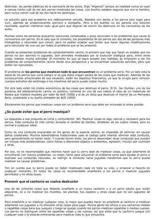 destrozar, las partes plásticas de la carrocería de los autos. Digo "eligieron" porque en realidad nunca se supo
a ciencia cierta cuál de los dos perros masticaba las cosas. Los dueños estaban seguros que era la hembra,
pero nunca vieron cuál de los dos hacía los destrozos.

La solución para ese problema era relativamente sencilla. Bastaba con darles a los perros otro lugar para
vivir, además de proporcionarles ejercicio y compañía. Pero a los dueños no les parecía una solución
razonable, querían mantener todo igual pero que dejaran de ocurrir los destrozos en las carrocerías de los
autos.

Muchas veces las personas buscamos soluciones complicadas y poco racionales a los problemas que causa la
convivencia con perros. En el caso que te comento, los propietarios de los perros son dos de las personas más
inteligentes y racionales que conocí, pero no podían aceptar que tenían que hacer algunas modificaciones
para solucionar de una vez por todas el problema que se les presentó.

Cuando se presentan problemas de comportamiento canino, lo primero que hay que hacer es aceptar que los
perros no son adornos ni juguetes. Son animales moldeados por la evolución biológica para, entre otras
cosas, realizar mucha actividad. El momento en que se logra aceptar esa realidad, se empiezan a ver los
problemas de comportamiento canino desde otra perspectiva y se encuentran soluciones sencillas, pero que
deben ser ejecutadas.

El problema de los perros que mastican todo lo que encuentran es un problema serio. Por un lado está la
salud de los perros que corre peligro si es que éstos tragan partes de las cosas que mastican. Además de las
consecuencias emocionales de esa situación, están los aspectos financieros, ya que la cirugía para remover
cuerpos extraños del estómago o los intestinos del perro puede costar mucho.

Por otro lado están los costos económicos de las cosas que destruye el perro. El Dr. Ian Dunbar, uno de los
pioneros del adiestramiento canino en positivo, comenta en uno de sus videos el caso de un malamute de
Alaska que masticó muebles por valor de $US 15000 y el de un akita que destrozó el interior de un Mercedes
Benz, costándole a su dueño alrededor de $US 10000.

Obviamente los perros que mastican cosas son un problema serio que debe ser encarado lo antes posible.

¿Se puede evitar que el perro mastique?

La respuesta a esa pregunta es corta y contundente: NO. Masticar cosas es algo natural y necesario para los
perros. Esta conducta es más común durante el cambio de dientes, alrededor de los cuatro meses, pero es
normal a cualquier edad.

Como es una conducta engranada en los genes de la especie canina, es imposible de eliminar sin causar
daños colaterales. Muchos adiestradores tradicionales usan el castigo para intentar eliminar esta conducta,
pero generalmente no tienen éxito. Y cuando tienen éxito, los perros desarrollan otras conductas que pueden
ser incluso más problemáticas, como fobias a diferentes objetos o ambientes, agresión, micción por sumisión
y otras.

Por eso, no es recomendable que intentes hacer que tu perro deje de masticar cosas, ya que solamente te
encontrarás con nuevos problemas. Lo mejor, tanto para solucionar el problema como para ayudar al perro a
expresar sus conductas naturales, es redirigir la conducta hacia juguetes resistentes que tu perro pueda
masticar sin causar problemas.

Ten en cuenta que tu perro puede no haber masticado nada en toda su vida, y empezar a hacerlo en
cualquier momento. En todos los casos es recomendable enseñarles a los perros a masticar juguetes
permitidos y no otras cosas.

Prevenir que el cachorro se vuelva destructor

Una de las primeras cosas que deberás enseñarle a un nuevo cachorro o a un perro adulto que recién
adquieres, es a no masticar los muebles, las plantas, tus zapatos y otras cosas que no son juguetes de
perros.

Para enseñarle a no masticar cualquier cosa, lo mejor que puedes hacer es enseñarle al cachorro a masticar
solamente sus juguetes y no ofrecerle otras cosas para jugar. Mucha gente les ofrece a sus cachorros medias
o zapatillas viejas para que jueguen y luego se quejan cuando los perros mastican zapatillas o medias nuevas.
Los perros no distinguen entre las zapatillas viejas y las nuevas, así que evita que tu cachorro juegue con
cualquier cosa o lo estarás entrenando para masticar todo lo que encuentra.
 