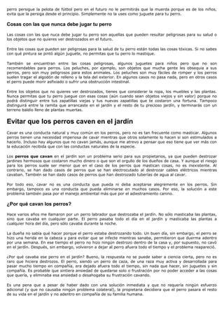 perro persigue la pelota de fútbol pero en el futuro no le permitirás que la muerda porque es de los niños,
evita que la persiga desde el principio. Simplemente no la uses como juguete para tu perro.

Cosas con las que nunca debe jugar tu perro

Las cosas con las que nuca debe jugar tu perro son aquellas que pueden resultar peligrosas para su salud o
los objetos que no quieres ver destrozados en el futuro.

Entre las cosas que pueden ser peligrosas para la salud de tu perro están todas las cosas tóxicas. Si no sabes
con qué pintura se pintó algún juguete, no permitas que tu perro lo mastique.

También se encuentran entre las cosas peligrosas, algunos juguetes para niños pero que no son
recomendables para perros. Los peluches, por ejemplo, son objetos que mucha gente les obsequia a sus
perros, pero son muy peligrosos para estos animales. Los peluches son muy fáciles de romper y los perros
suelen tragar el algodón de relleno y la tela del exterior. En algunos casos no pasa nada, pero en otros casos
el perro puede morir asfixiado o sufrir una obstrucción intestinal.

Entre los objetos que no quieres ver destrozados, tienes que considerar la ropa, los muebles y las plantas.
Nunca permitas que tu perro juegue con esas cosas (aún cuando sean objetos viejos y sin valor) porque no
podrá distinguir entre tus zapatillas viejas y tus nuevas zapatillas que te costaron una fortuna. Tampoco
distinguirá entre la ramita que arrancaste en el jardín y el resto de tu precioso jardín, y terminarás con un
terreno baldío lleno de plantas muertas.


Evitar que los perros caven en el jardín
Cavar es una conducta natural y muy común en los perros, pero no es tan frecuente como masticar. Algunos
perros tienen una necesidad imperiosa de cavar mientras que otros solamente lo hacen si son estimulados a
hacerlo. Incluso hay algunos que no cavan jamás, aunque me atrevo a pensar que eso tiene que ver más con
la educación recibida que con las conductas naturales de la especie.

Los perros que cavan en el jardín son un problema serio para sus propietarios, ya que pueden destrozar
jardines hermosos que costaron mucho dinero o que son el orgullo de los dueños de casa. Y aunque el riesgo
para los perros suele ser menor que en el caso de los perros que mastican cosas, no es inexistente. Al
contrario, se han dado casos de perros que se han electrocutado al destrozar cables eléctricos mientras
cavaban. También se han dado casos de perros que han destrozado tuberías de agua al cavar.

Por todo eso, cavar no es una conducta que pueda ni deba aceptarse alegremente en los perros. Sin
embargo, tampoco es una conducta que pueda eliminarse en muchos casos. Por eso, la solución a este
problema también pasa por el manejo ambiental más que por el adiestramiento canino.

¿Por qué cavan los perros?

Hace varios años me llamaron por un perro labrador que destrozaba el jardín. No sólo masticaba las plantas,
sino que cavaba en cualquier parte. El perro pasaba todo el día en el jardín y masticaba las plantas a
cualquier hora del día, pero sólo cavaba durante la noche.

La dueña no sabía qué hacer porque el perro estaba destrozando todo. Un buen día, sin embargo, el perro se
hizo una herida en la cabeza y para evitar que se infecte mientras sanaba, permitieron que duerma adentro
por una semana. En ese tiempo el perro no hizo ningún destrozo dentro de la casa y, por supuesto, no cavó
en el jardín. Después, sin embargo, volvieron a dejar al perro afuera todo el tiempo y el problema reapareció.

¿Por qué cavaba ese perro en el jardín? Bueno, la respuesta no se puede saber a ciencia cierta, pero no es
raro que hiciera destrozos. El perro, siendo un perro de caza, de una raza muy activa y desarrollada para
pasar mucho tiempo en compañía, era dejado afuera todo el tiempo, sin nada que hacer, sin juguetes y sin
compañía. Es probable que sintiera ansiedad de quedarse solo o frustración por no poder acceder a las cosas
que quería, y eliminaba esa ansiedad o desahogaba su frustración cavando.

Es una pena que a pesar de haber dado con una solución inmediata y que no requería ningún esfuerzo
adicional (y que no causaba ningún problema colateral), la propietaria decidiera que el perro pasara el resto
de su vida en el jardín y no adentro en compañía de su familia humana.
 
