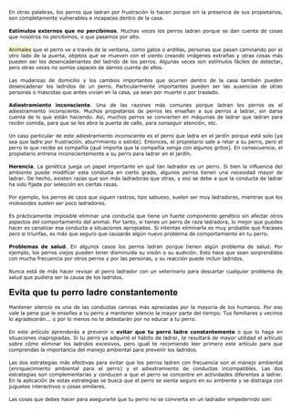 En otras palabras, los perros que ladran por frustración lo hacen porque sin la presencia de sus propietarios,
son completamente vulnerables e incapaces dentro de la casa.

Estímulos externos que no percibimos. Muchas veces los perros ladran porque se dan cuenta de cosas
que nosotros no percibimos, o que pasamos por alto.

Animales que el perro ve a través de la ventana, como gatos o ardillas, personas que pasan caminando por el
otro lado de la puerta, objetos que se mueven con el viento creando imágenes extrañas y otras cosas más
pueden ser los desencadenantes del ladrido de los perros. Algunas veces son estímulos fáciles de detectar,
pero otras veces no somos capaces de darnos cuenta de ellos.

Las mudanzas de domicilio y los cambios importantes que ocurren dentro de la casa también pueden
desencadenar los ladridos de un perro. Particularmente importantes pueden ser las ausencias de otras
personas o mascotas que antes vivían en la casa, ya sean por muerte o por traslado.

Adiestramiento inconsciente. Una de las razones más comunes porque ladran los perros es el
adiestramiento inconsciente. Muchos propietarios de perros les enseñan a sus perros a ladrar, sin darse
cuenta de lo que están haciendo. Así, muchos perros se convierten en máquinas de ladrar que ladran para
recibir comida, para que se les abra la puerta de calle, para conseguir atención, etc.

Un caso particular de este adiestramiento inconsciente es el perro que ladra en el jardín porque está solo (ya
sea que ladre por frustración, aburrimiento o estrés). Entonces, el propietario sale a retar a su perro, pero el
perro lo que recibe es compañía (qué importa que la compañía venga con algunos gritos). En consecuencia, el
propietario entrena inconscientemente a su perro para ladrar en el jardín.

Herencia. La genética juega un papel importante en qué tan ladrador es un perro. Si bien la influencia del
ambiente puede modificar esta conducta en cierto grado, algunos perros tienen una necesidad mayor de
ladrar. De hecho, existen razas que son más ladradoras que otras, y eso se debe a que la conducta de ladrar
ha sido fijada por selección en ciertas razas.

Por ejemplo, los perros de caza que siguen rastros, tipo sabueso, suelen ser muy ladradores, mientras que los
molosoides suelen ser poco ladradores.

Es prácticamente imposible eliminar una conducta que tiene un fuerte componente genético sin afectar otros
aspectos del comportamiento del animal. Por tanto, si tienes un perro de raza ladradora, lo mejor que puedes
hacer es canalizar esa conducta a situaciones apropiadas. Si intentas eliminarla es muy probable que fracases
pero si triunfas, es más que seguro que causarás algún nuevo problema de comportamiento en tu perro.

Problemas de salud. En algunos casos los perros ladran porque tienen algún problema de salud. Por
ejemplo, los perros viejos pueden tener disminuida su visión o su audición. Esto hace que sean sorprendidos
con mucha frecuencia por otros perros y por las personas, y su reacción puede incluir ladridos.

Nunca está de más hacer revisar al perro ladrador con un veterinario para descartar cualquier problema de
salud que pudiera ser la causa de los ladridos.


Evita que tu perro ladre constantemente
Mantener silencio es una de las conductas caninas más apreciadas por la mayoría de los humanos. Por eso
vale la pena que le enseñes a tu perro a mantener silencio la mayor parte del tiempo. Tus familiares y vecinos
lo agradecerán... o por lo menos no te detestarán por no educar a tu perro.

En este artículo aprenderás a prevenir o evitar que tu perro ladre constantemente o que lo haga en
situaciones inapropiadas. Si tu perro ya adquirió el hábito de ladrar, te resultará de mayor utilidad el artículo
sobre cómo eliminar los ladridos excesivos, pero igual te recomiendo leer primero este artículo para que
comprendas la importancia del manejo ambiental para prevenir los ladridos.

Las dos estrategias más efectivas para evitar que los perros ladren con frecuencia son el manejo ambiental
(enriquecimiento ambiental para el perro) y el adiestramiento de conductas incompatibles. Las dos
estrategias son complementarias y conducen a que el perro se concentre en actividades diferentes a ladrar.
En la aplicación de estas estrategias se busca que el perro se sienta seguro en su ambiente y se distraiga con
juguetes interactivos o cosas similares.

Las cosas que debes hacer para asegurarte que tu perro no se convierta en un ladrador empedernido son:
 