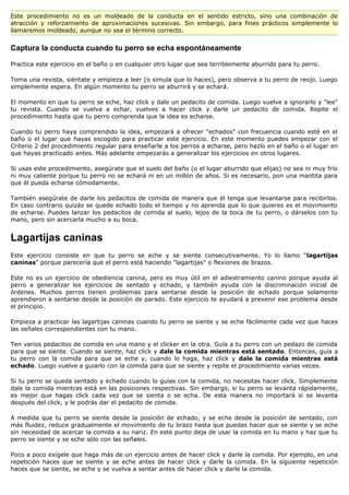 Este procedimiento no es un moldeado de la conducta en el sentido estricto, sino una combinación de
atracción y reforzamiento de aproximaciones sucesivas. Sin embargo, para fines prácticos simplemente lo
llamaremos moldeado, aunque no sea el término correcto.


Captura la conducta cuando tu perro se echa espontáneamente

Practica este ejercicio en el baño o en cualquier otro lugar que sea terriblemente aburrido para tu perro.

Toma una revista, siéntate y empieza a leer (o simula que lo haces), pero observa a tu perro de reojo. Luego
simplemente espera. En algún momento tu perro se aburrirá y se echará.

El momento en que tu perro se eche, haz click y dale un pedacito de comida. Luego vuelve a ignorarlo y "lee"
tu revista. Cuando se vuelva a echar, vuelves a hacer click y darle un pedacito de comida. Repite el
procedimiento hasta que tu perro comprenda que la idea es echarse.

Cuando tu perro haya comprendido la idea, empezará a ofrecer "echados" con frecuencia cuando esté en el
baño o el lugar que hayas escogido para practicar este ejercicio. En este momento puedes empezar con el
Criterio 2 del procedimiento regular para enseñarle a los perros a echarse, pero hazlo en el baño o el lugar en
que hayas practicado antes. Más adelante empezarás a generalizar los ejercicios en otros lugares.

Si usas este procedimiento, asegúrate que el suelo del baño (o el lugar aburrido que elijas) no sea ni muy frío
ni muy caliente porque tu perro no se echará ni en un millón de años. Si es necesario, pon una mantita para
que él pueda echarse cómodamente.

También asegúrate de darle los pedacitos de comida de manera que él tenga que levantarse para recibirlos.
En caso contrario quizás se quede echado todo el tiempo y no aprenda que lo que quieres es el movimiento
de echarse. Puedes lanzar los pedacitos de comida al suelo, lejos de la boca de tu perro, o dárselos con tu
mano, pero sin acercarla mucho a su boca.


Lagartijas caninas
Este ejercicio consiste en que tu perro se eche y se siente consecutivamente. Yo lo llamo "lagartijas
caninas" porque parecería que el perro está haciendo "lagartijas" o flexiones de brazos.

Este no es un ejercicio de obediencia canina, pero es muy útil en el adiestramiento canino porque ayuda al
perro a generalizar los ejercicios de sentado y echado, y también ayuda con la discriminación inicial de
órdenes. Muchos perros tienen problemas para sentarse desde la posición de echado porque solamente
aprendieron a sentarse desde la posición de parado. Este ejercicio te ayudará a prevenir ese problema desde
el principio.

Empieza a practicar las lagartijas caninas cuando tu perro se siente y se eche fácilmente cada vez que haces
las señales correspondientes con tu mano.

Ten varios pedacitos de comida en una mano y el clicker en la otra. Guía a tu perro con un pedazo de comida
para que se siente. Cuando se siente, haz click y dale la comida mientras está sentado. Entonces, guía a
tu perro con la comida para que se eche y, cuando lo haga, haz click y dale la comida mientras está
echado. Luego vuelve a guiarlo con la comida para que se siente y repite el procedimiento varias veces.

Si tu perro se queda sentado y echado cuando lo guías con la comida, no necesitas hacer click. Simplemente
dale la comida mientras está en las posiciones respectivas. Sin embargo, si tu perro se levanta rápidamente,
es mejor que hagas click cada vez que se sienta o se echa. De esta manera no importará si se levanta
después del click, y le podrás dar el pedacito de comida.

A medida que tu perro se siente desde la posición de echado, y se eche desde la posición de sentado, con
más fluidez, reduce gradualmente el movimiento de tu brazo hasta que puedas hacer que se siente y se eche
sin necesidad de acercar la comida a su nariz. En este punto deja de usar la comida en tu mano y haz que tu
perro se siente y se eche sólo con las señales.

Poco a poco exígele que haga más de un ejercicio antes de hacer click y darle la comida. Por ejemplo, en una
repetición haces que se siente y se eche antes de hacer click y darle la comida. En la siguiente repetición
haces que se siente, se eche y se vuelva a sentar antes de hacer click y darle la comida.
 