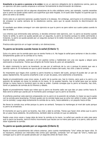 Enseñarle a tu perro a pararse a la orden no es un ejercicio obligatorio de la obediencia canina, pero es
un ejercicio útil para cuando empieces a entrenar formalmente la discriminación de órdenes.

También es un ejercicio útil en algunas situaciones de la vida cotidiana como, por ejemplo, cuando necesitas
que tu perro se quede quieto sobre una superficie que está mojada. Si el suelo está mojado no querrás que tu
perro se eche o se siente.

Como este es un ejercicio opcional, puedes hacerlo si lo deseas. Sin embargo, será bueno si lo entrenas antes
de empezar la cuarta semana de la obediencia canina, para que te ayude durante la discriminación de
órdenes.

El resultado que debes conseguir con este ejercicio es que tu perro se pare sobre sus cuatro patas cuando le
das la orden.

Los criterios que entrenarás esta semana, si decides entrenar este ejercicio, son: tu perro se levanta cuando
haces la señal, tu perro se queda parado por un segundo, tu perro se levanta aunque tú estés caminando o
trotando, tu perro se queda parado por un segundo aunque tú te estés moviendo, tu perro se levanta cuando
dices la orden.

Practica este ejercicio en un lugar cerrado y sin distracciones.

Tu perro se levanta cuando haces la señal (Criterio 1)

Guía a tu perro con la comida para que se siente frente a ti. No hagas la señal para sentarse ni des la orden.
Simplemente guíalo con la comida en tu mano.

Cuando se haya sentado, acércate a él con pasitos cortos y hablándole con una voz aguda y alegre para
estimularlo a levantarse. Tienes que dirigirte de frente hacia él, pero sin atropellarlo.

En algún momento tu perro se levantará, ya sea por el estímulo de tu voz o porque le parece que vas a
caminar sobre él. El momento en que tu perro levante el trasero del suelo, haz click y dale la comida.

Es importante que hagas click cuando tu perro levanta su trasero del suelo, porque él puede dar un par de
pasos rápidamente. No quieres enseñarle a dar un par de pasos, sino solamente a levantarse.

Repite el procedimiento unas cinco veces. A partir de la quinta vez, haz lo mismo, pero guía a tu perro a la
posición de sentado sin tener la comida en la mano. Si no puedes hacerlo, haz la señal para que se siente
(dirige tu mano hacia tu hombro) pero no des la orden. Cuando consigas que tu perro se levante, haz click,
toma un pedacito de comida de la riñonera y dáselo.

Repite el procedimiento hasta que notes que tu perro se levanta cada vez que das un paso cortito hacia él.
Ésta será la señal que usarás por el momento para conseguir que tu perro se levante.

Si prefieres practicar este ejercicio empezando con tu perro en la posición de echado, lo mejor es que lo guíes
con la comida para levantarse. Primero guíalo con la comida hasta que se eche (sin señal ni orden, sólo guíalo
con la comida). Luego aleja lentamente la comida de su nariz, hacia adelante y un poquito hacia arriba.

No lleves la comida muy arriba porque tu perro se sentará. Tampoco la mantengas al nivel del suelo porque
tu perro se arrastrará.

El momento en que tu perro se levante, haz click y dale la comida. Tienes que hacer click antes que tu perro
de un paso hacia adelante. De preferencia, también dale la comida sin que se adelante.

Repite unas cinco veces y luego deja de tener la comida en la mano. La señal que usarás en este caso para
que tu perro se levante, será el mismo movimiento que hacías con la mano para guiar a tu perro, sólo que sin
estar sujetando la comida.

Tu perro se queda parado por un segundo (Criterio 2)

Repite el mismo procedimiento del criterio anterior, pero cuenta mentalmente "Uno" antes de hacer click. Si
es necesario, empieza con intervalos más cortos (por ejemplo, contando "Un" en lugar de "Uno"), hasta que
consigas que tu perro se quede parado por un segundo antes de hacer click.
 