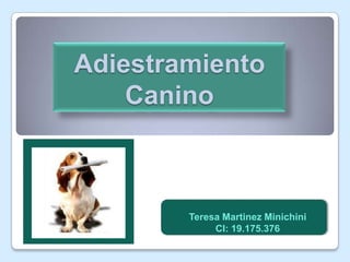 Adiestramiento
    Canino



        Teresa Martinez Minichini
             CI: 19.175.376
 