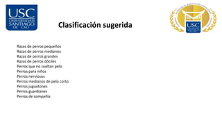 Clasificación sugerida
Razas de perros pequeños
Razas de perros medianos
Razas de perros grandes
Razas de perros dóciles
Perros que no sueltan pelo
Perros para niños
Perros nerviosos
Perros medianos de pelo corto
Perros juguetones
Perros guardianes
Perros de compañia
 