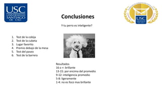 Conclusiones
Y tu perro es inteligente?
1. Test de la cobija
2. Test de la cubeta
3. Lugar favorito
4. Premio debajo de la mesa
5. Test del paseo
6. Test de la barrera
Resultados
16 o +: brillante
13-15: por encima del promedio
9-12: inteligencia promedio
5-8: ligeramente
1-4: no es foco mas brillante
 