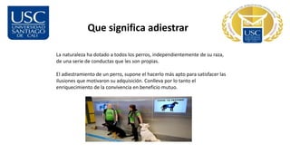 Que significa adiestrar
La naturaleza ha dotado a todos los perros, independientemente de su raza,
de una serie de conductas que les son propias.
El adiestramiento de un perro, supone el hacerlo más apto para satisfacer las
ilusiones que motivaron su adquisición. Conlleva por lo tanto el
enriquecimiento de la convivencia en beneficio mutuo.
 