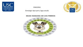 CINOLOGIA
Etimología: Kyon perro, logos estudio
 