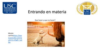 Entrando en materia
Que hacer y que no hacer?
Misión
caninahttps://ww
w.youtube.com/w
atch?v=HSgfZ_5zd
No
 