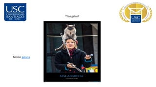 Y los gatos?
Misión gatuna
 