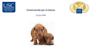 Comenzando por lo básico
Primera orden
 