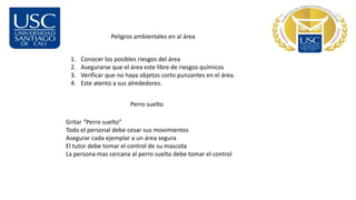 Peligros ambientales en al área
1. Conocer los posibles riesgos del área
2. Asegurarse que el área este libre de riesgos químicos
3. Verificar que no haya objetos corto punzantes en el área.
4. Este atento a sus alrededores.
Perro suelto
Gritar “Perro suelto”
Todo el personal debe cesar sus movimientos
Asegurar cada ejemplar a un área segura
El tutor debe tomar el control de su mascota
La persona mas cercana al perro suelto debe tomar el control
 