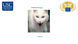 Problemas de gatos
acariciar
 