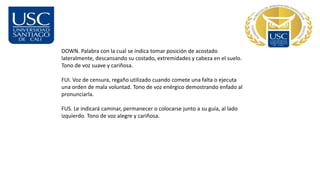 DOWN. Palabra con la cual se indica tomar posición de acostado
lateralmente, descansando su costado, extremidades y cabeza en el suelo.
Tono de voz suave y cariñosa.
FUI. Voz de censura, regaño utilizado cuando comete una falta o ejecuta
una orden de mala voluntad. Tono de voz enérgico demostrando enfado al
pronunciarla.
FUS. Le indicará caminar, permanecer o colocarse junto a su guía, al lado
izquierdo. Tono de voz alegre y cariñosa.
 