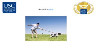 No tirar de la correa
 