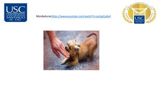 Mordedurashttps://www.youtube.com/watch?v=jsxtzgCpdy4
 