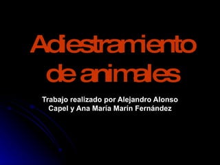 Adiestramiento de animales Trabajo realizado por Alejandro Alonso Capel y Ana María Marín Fernández 
