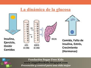 Fundación Sugar Free Kids
www.sugarfreekids.blogspot.com
Prevención y control para una vida mejor
La dinámica de la glucosa
Insulina,
Ejercicio,
Omitir
Comidas
Comida, Falta de
Insulina, Estrés,
Crecimiento
(Hormonas)
 