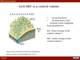 !19
Each HRU is a control volume
• No lateral fluxes
• No deep losses and
recharge terms supplying
deep groundwater
S(t) : Water storage in the
control volume V
M(t) : Solute storage in the
control volume V
Figure From Catchment travel times distributions
and water flow in soils, Rinaldo et al. (2011)
HRUs level example
R.F.B.A
 