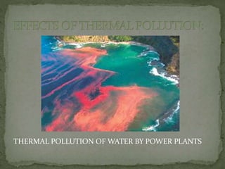 THERMAL POLLUTION OF WATER BY POWER PLANTS
 