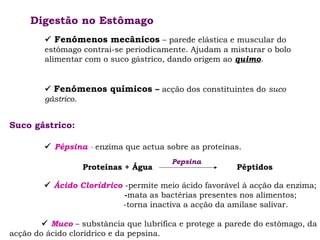 Digestão no Estômago
 Fenómenos mecânicos – parede elástica e muscular do
estômago contrai-se periodicamente. Ajudam a misturar o bolo
alimentar com o suco gástrico, dando origem ao quimo.
 Fenómenos químicos – acção dos constituintes do suco
gástrico.

Suco gástrico:
 Pépsina - enzima que actua sobre as proteínas.
Proteínas + Água

Pepsina

Péptidos

 Ácido Clorídrico -permite meio ácido favorável à acção da enzima;
-mata as bactérias presentes nos alimentos;
-torna inactiva a acção da amilase salivar.
 Muco – substância que lubrifica e protege a parede do estômago, da
acção do ácido clorídrico e da pepsina.

 