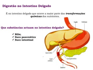Digestão no Intestino Delgado
É no intestino delgado que ocorre a maior parte das transformações
químicas dos nutrientes.

Que substâncias actuam no intestino delgado?
 Bílis;
 Suco pancreático
 Suco intestinal

 