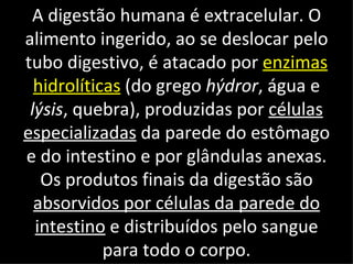 A digestão humana é extracelular. O
alimento ingerido, ao se deslocar pelo
tubo digestivo, é atacado por enzimas
  hidrolíticas (do grego hýdror, água e
 lýsis, quebra), produzidas por células
especializadas da parede do estômago
e do intestino e por glândulas anexas.
   Os produtos finais da digestão são
  absorvidos por células da parede do
  intestino e distribuídos pelo sangue
            para todo o corpo.
 